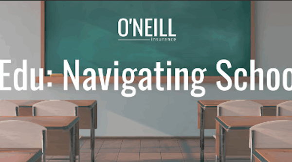 Blog - navigating school risks
